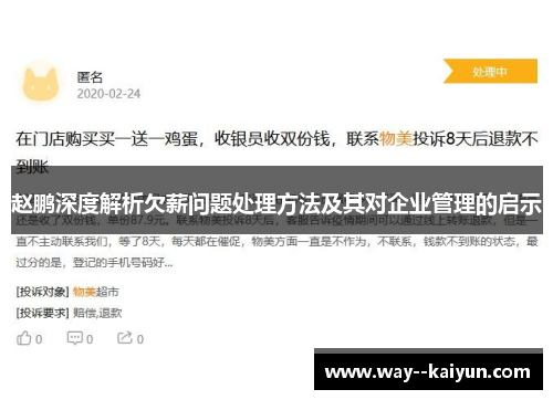 赵鹏深度解析欠薪问题处理方法及其对企业管理的启示